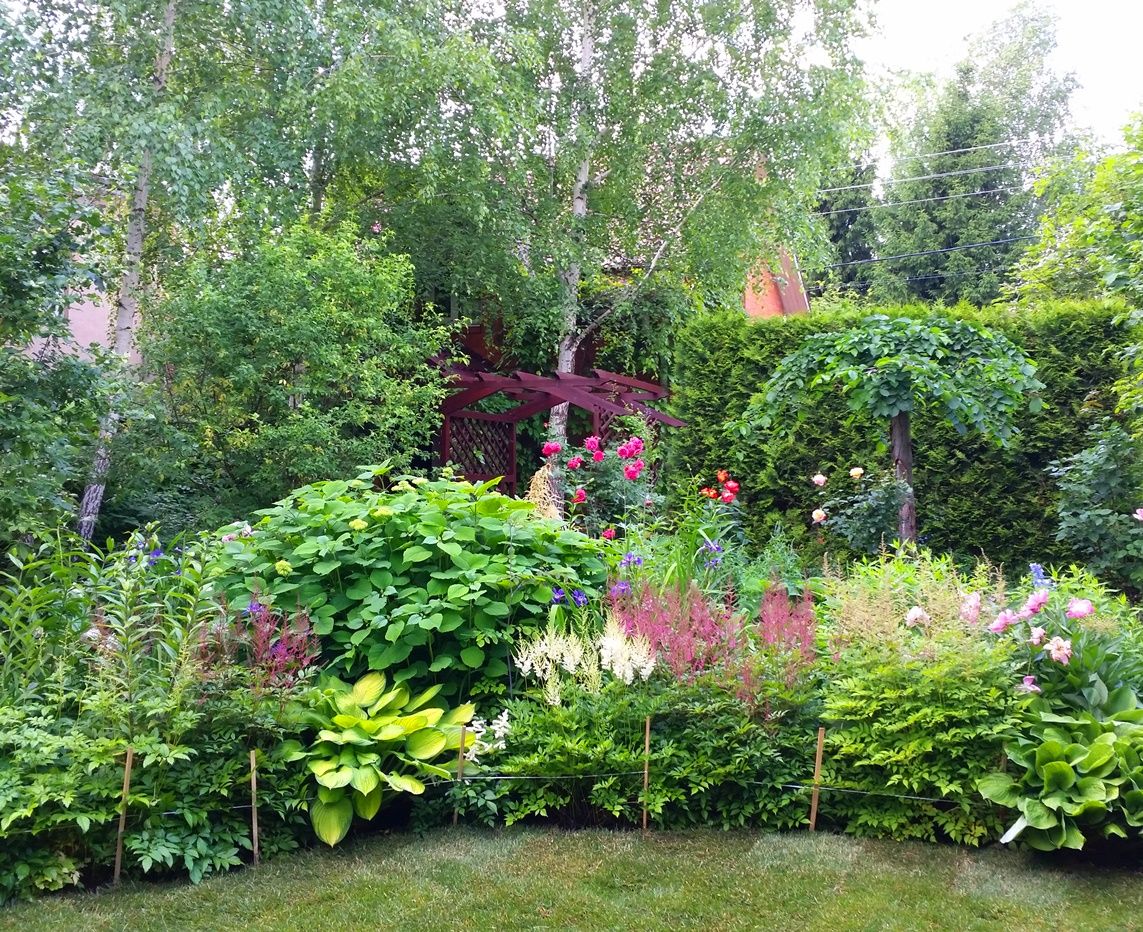 Проект Горки 2